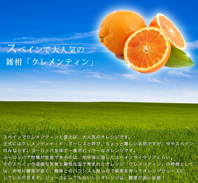 柑橘　クレメンティン2