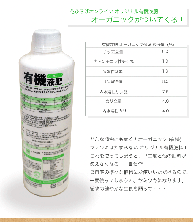 開運オーガニックセット