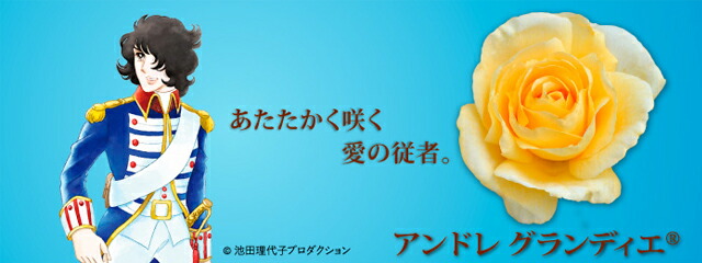 バラ ベルサイユのばら 1