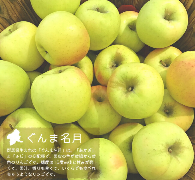 リンゴ ぐんま名月 苗 植え方 苗木部 By 花ひろばオンライン