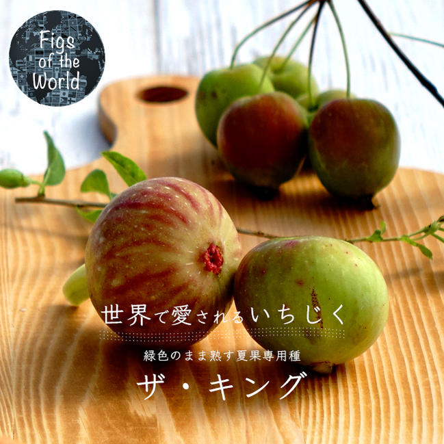 キング 夏果専用種 苗 おすすめ 苗木部 By 花ひろばオンライン