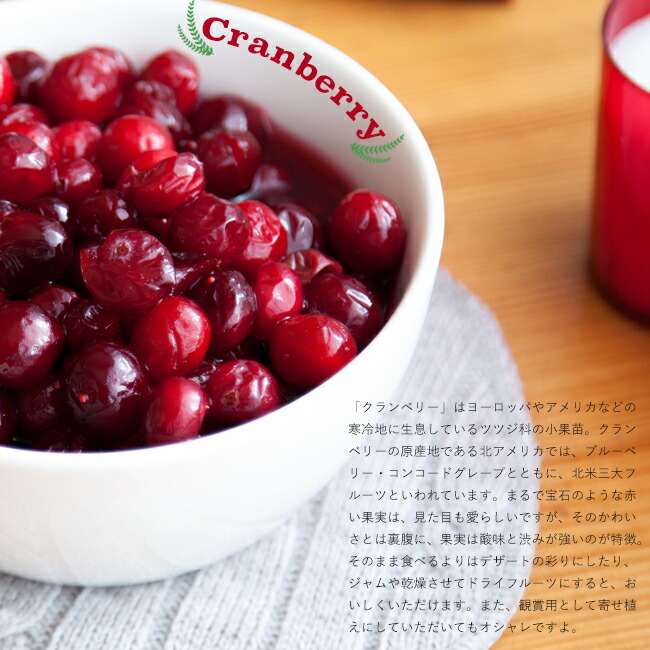 大実クランベリー