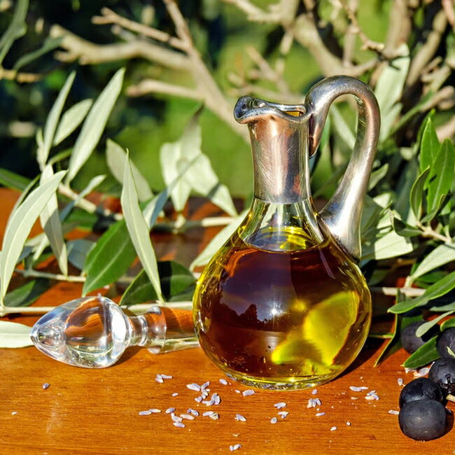 オリーブ カラマタ 苗 通販 苗木部 By 花ひろばオンライン