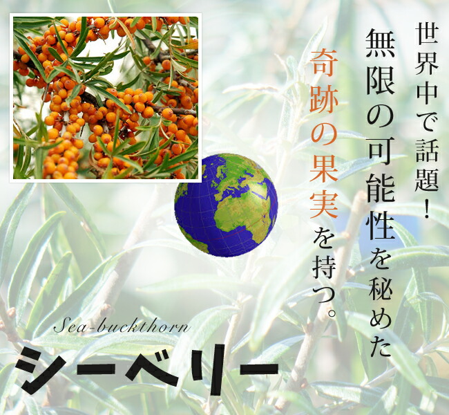 シーベリー　奇跡の果実
