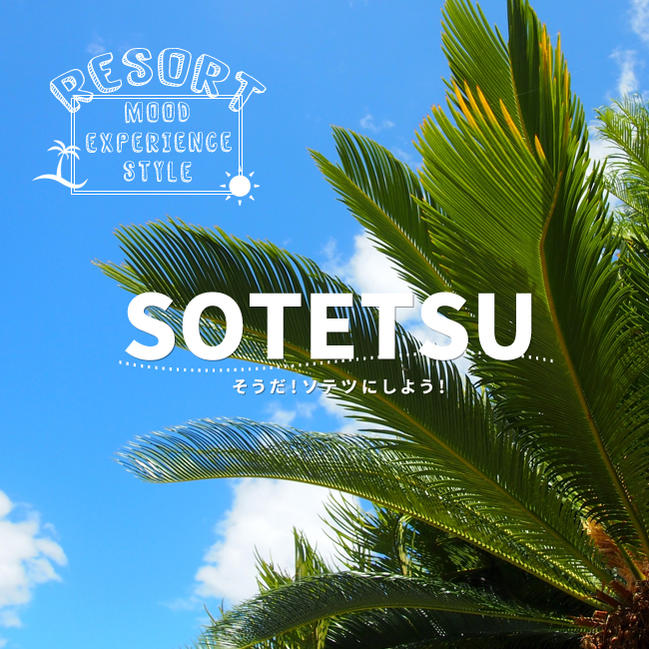 ソテツ 苗 鉢植え 苗木部 By 花ひろばオンライン