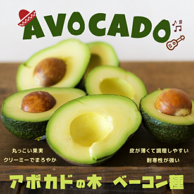   アボガド　ベーコン　1