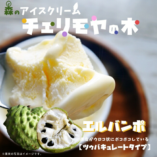 果樹　チェリモヤ エルバンポ 