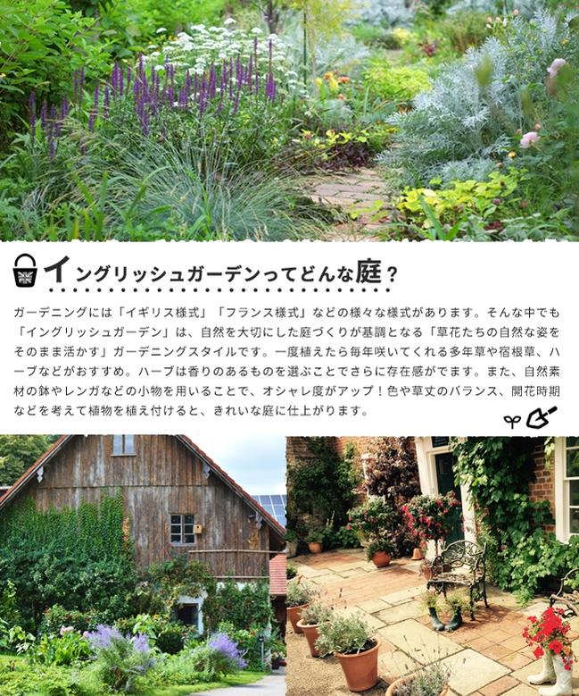 ハーブ セット苗 お任せ ハーブセット イングリッシュガーデンに