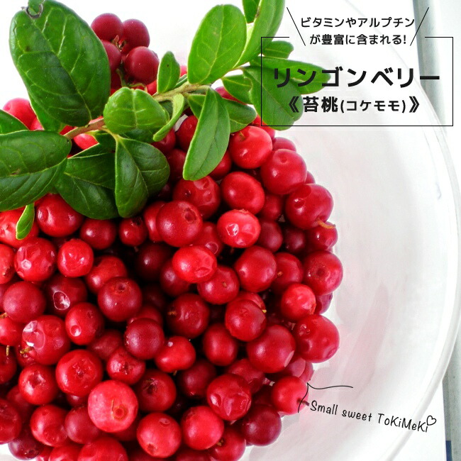 リンゴンベリー 