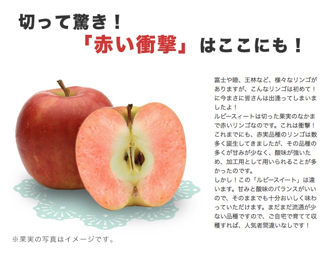 リンゴ ルビースイート 3