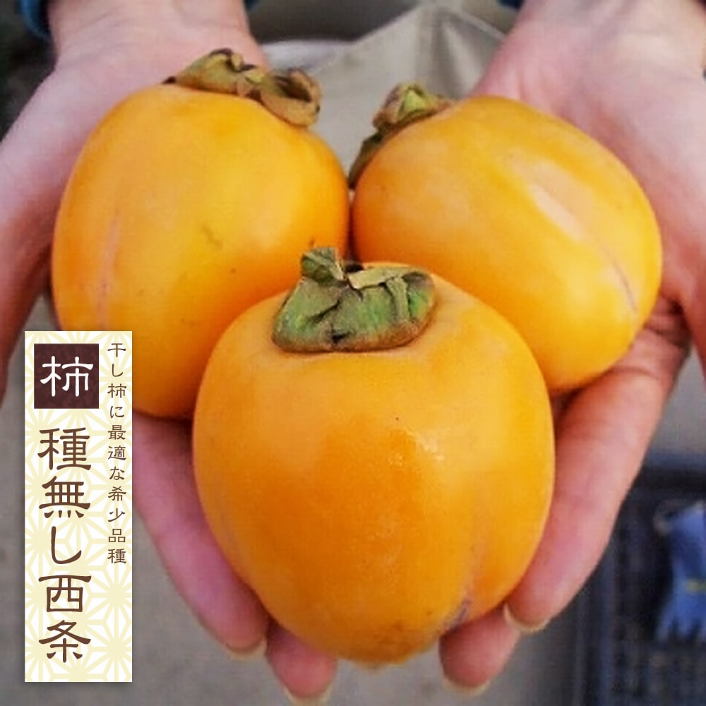 柿 種無し西条 