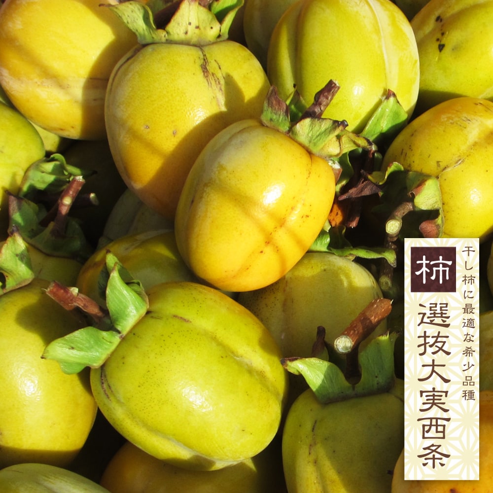柿 選抜大実西条 