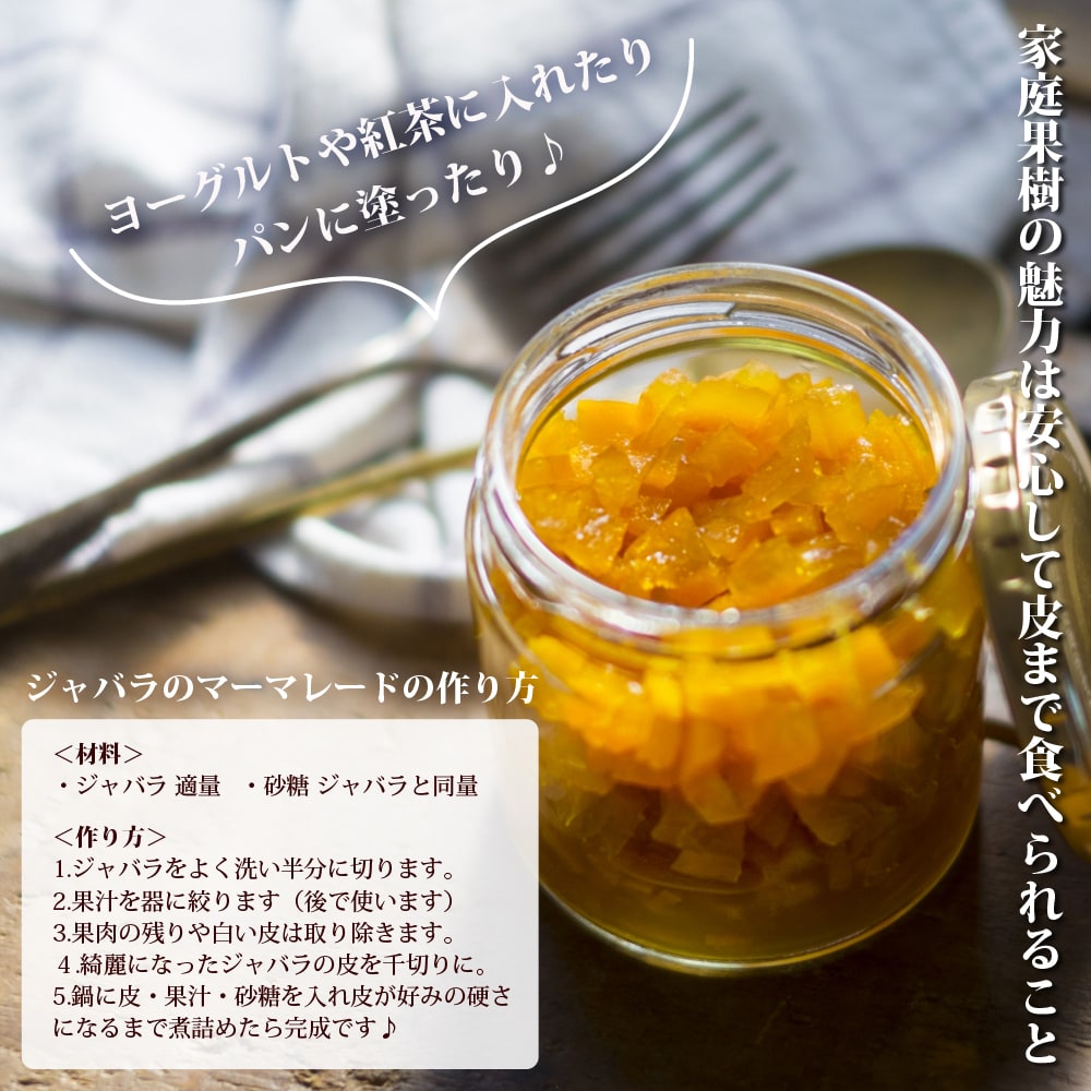 柑橘 じゃばら 1