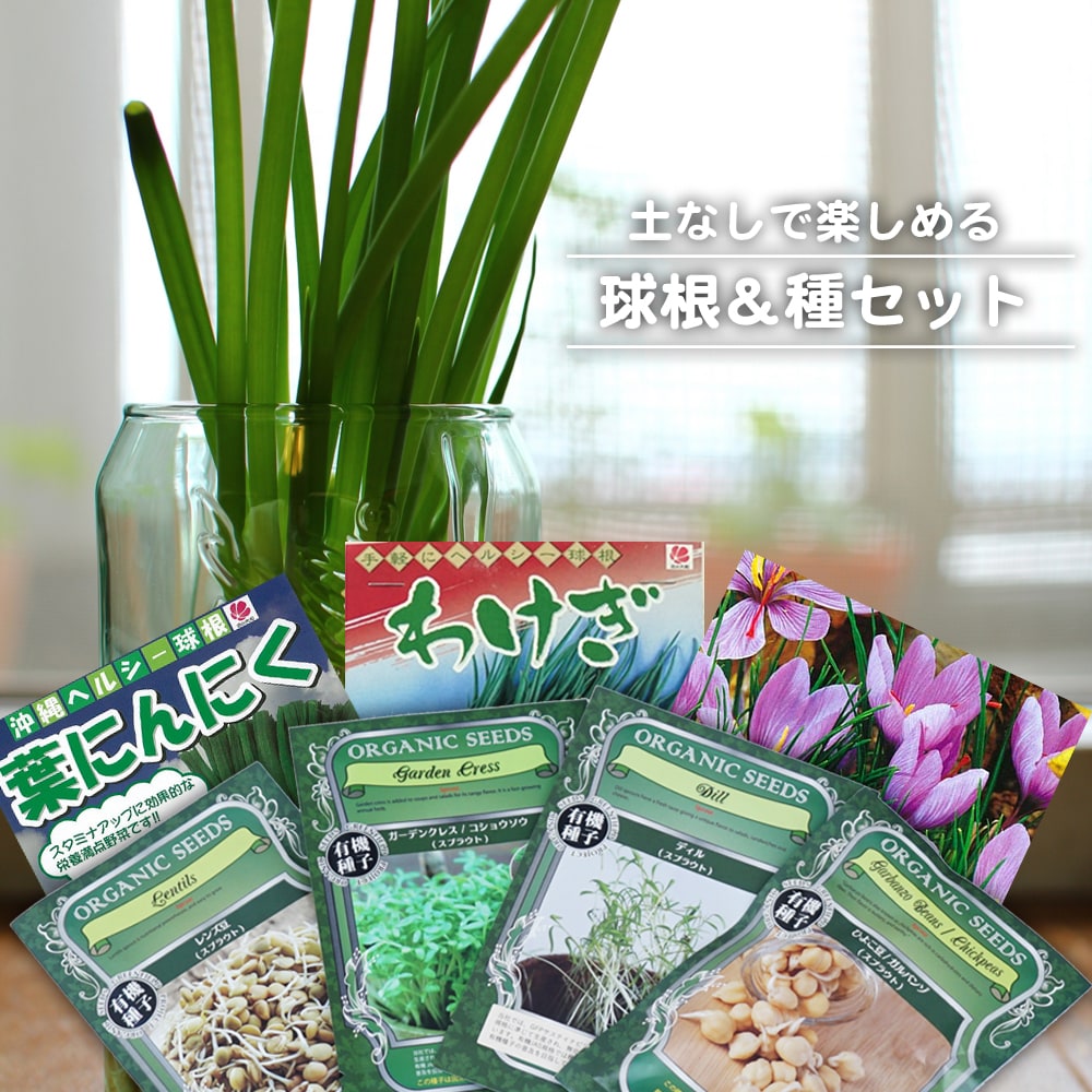 土なしでも楽しめる「球根＆種」セット
