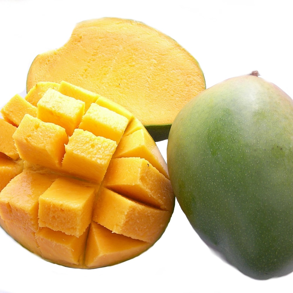 マンゴー キーツ 苗 販売 苗木部 By 花ひろばオンライン