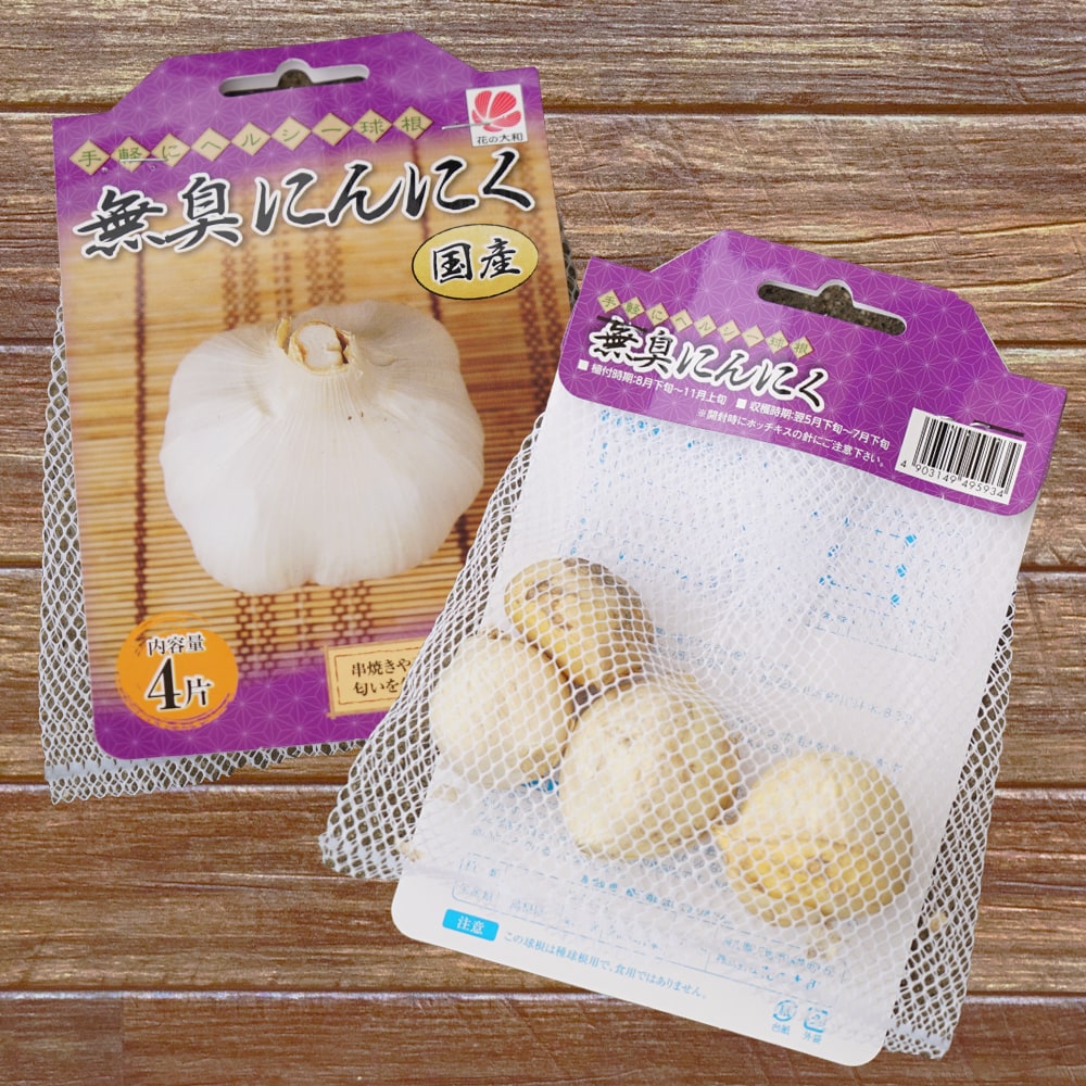 にんにく 無臭にんにく 苗 販売 苗木部 By 花ひろばオンライン