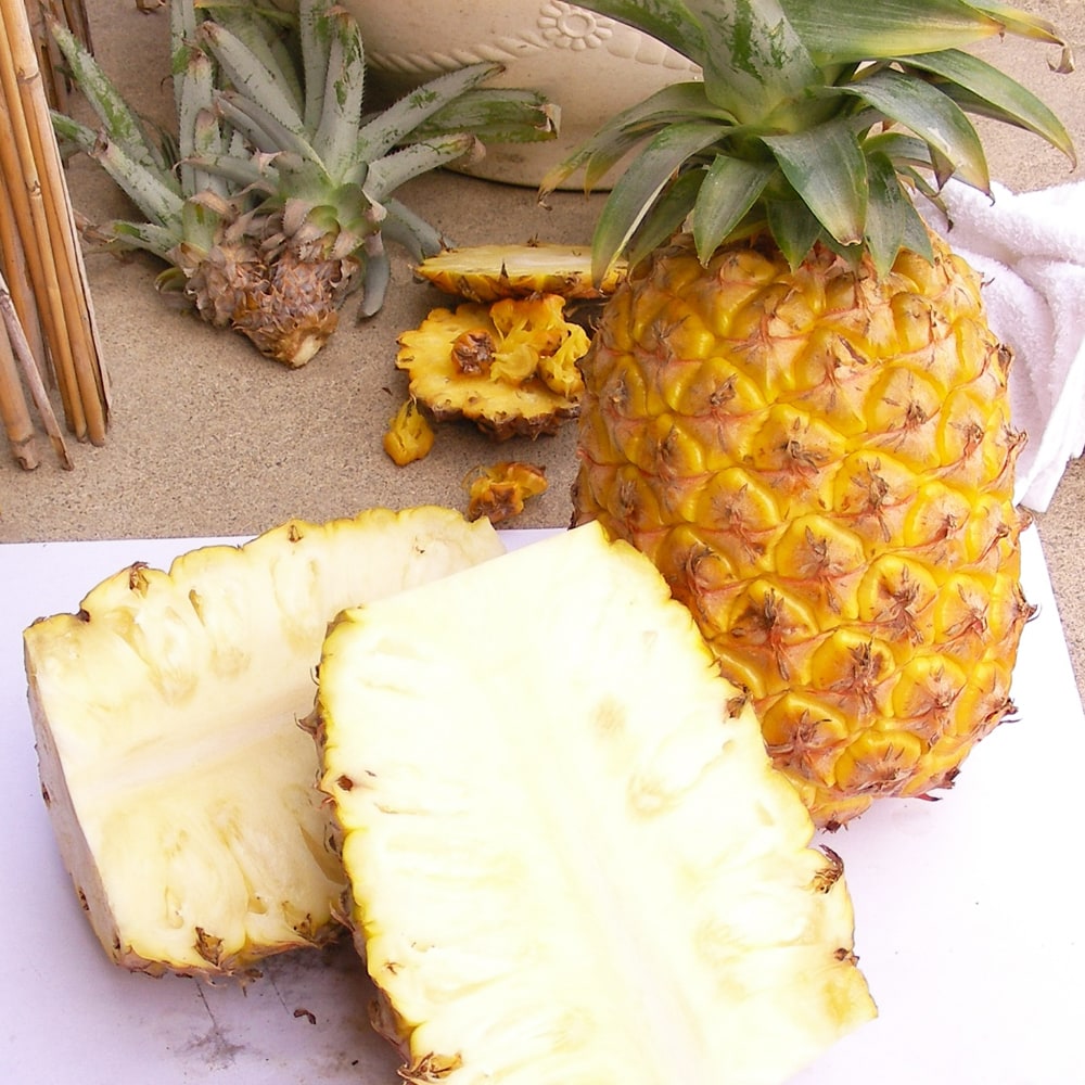 パイナップル ソフトタッチ 