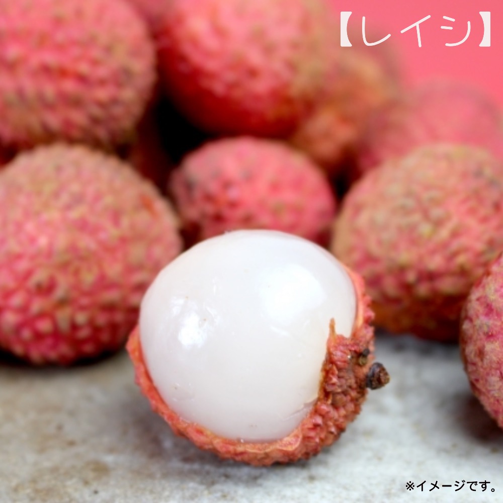 レイシ・ライチ ノーマイチ、糯米 苗 販売 苗木部 By 花ひろばオンライン