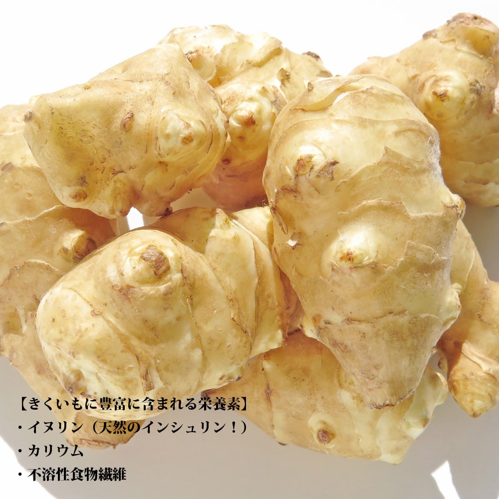 きくいも きくいも 3