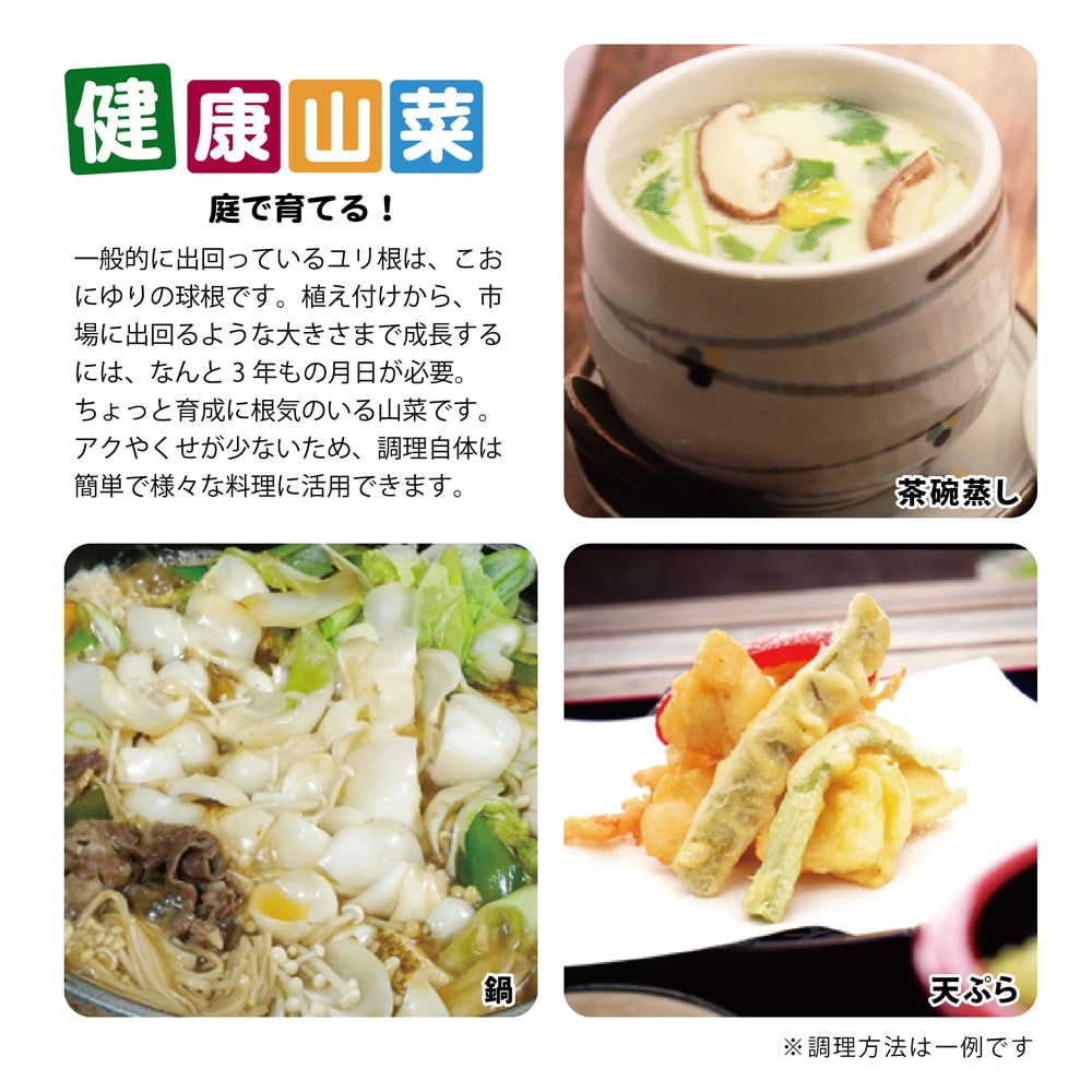 こおにゆり こおにゆり 2