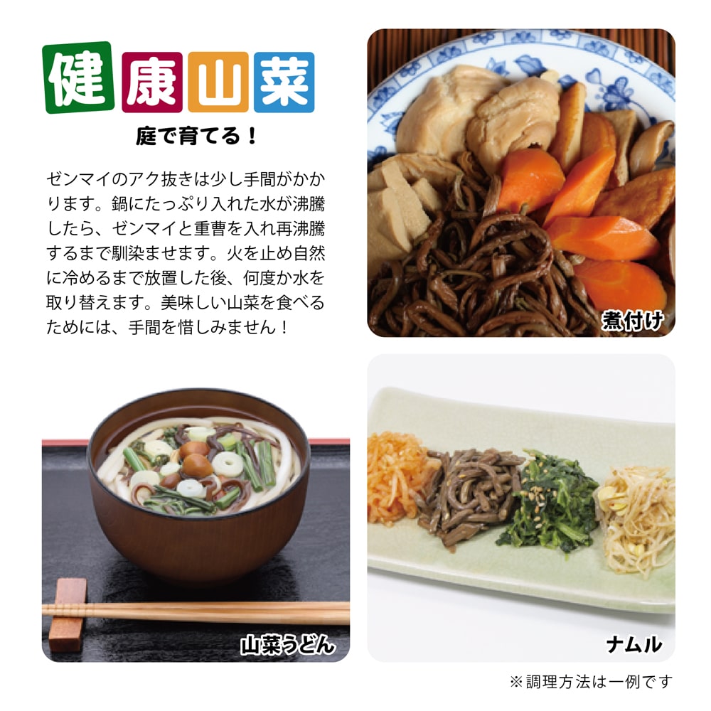 わらび 苗 販売 苗木部 By 花ひろばオンライン