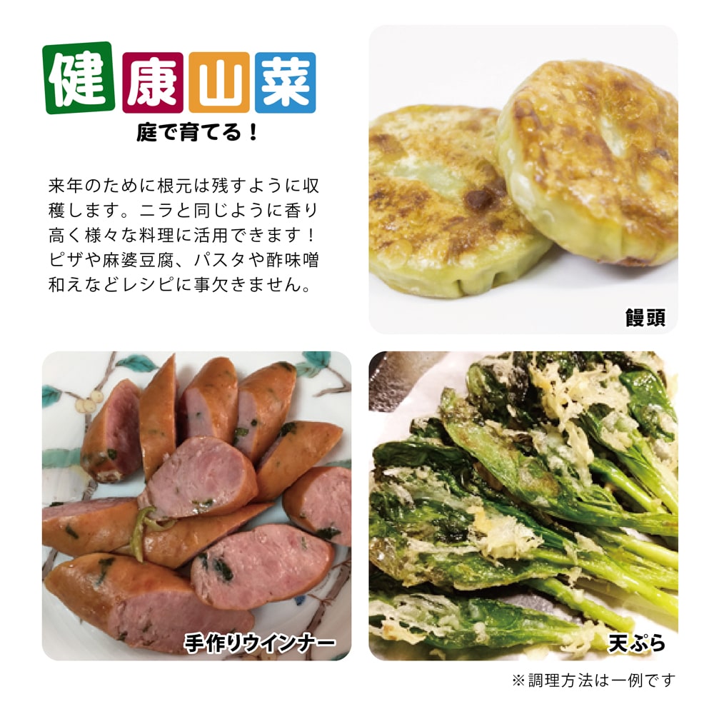 行者にんにく 行者にんにく 5