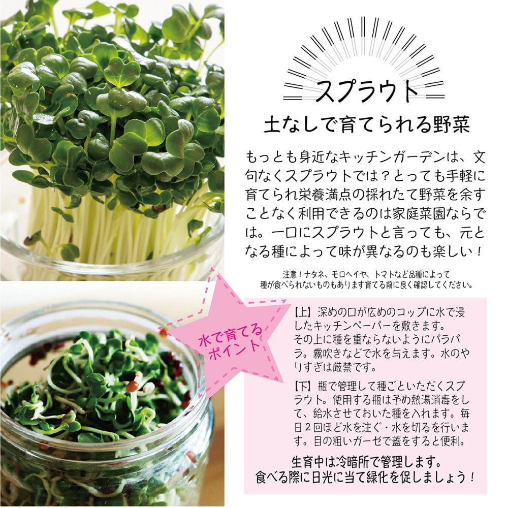 スプラウト　育て方
