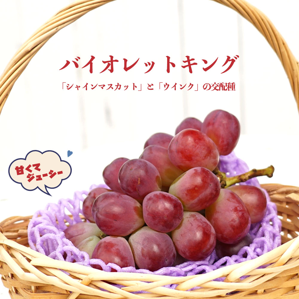 ブドウ 欧米雑種2倍体 バイオレットキング 苗 通販 苗木部 By 花ひろば