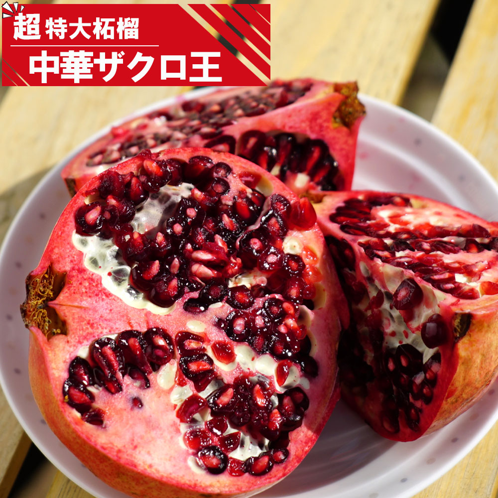 ザクロ 実ザクロ 中華ザクロ王 苗 販売 苗木部 By 花ひろばオンライン