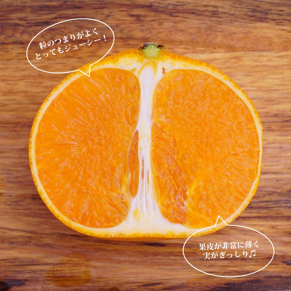 せとか タンゴール 苗 通販 苗木部 By 花ひろばオンライン