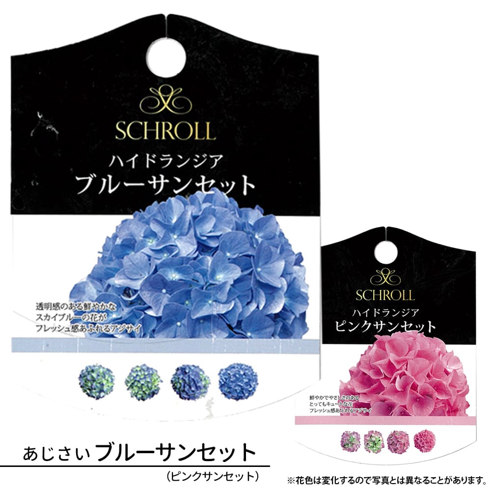 アジサイ ハイドランジア ブルーサンセット 苗 販売 苗木部 By 花