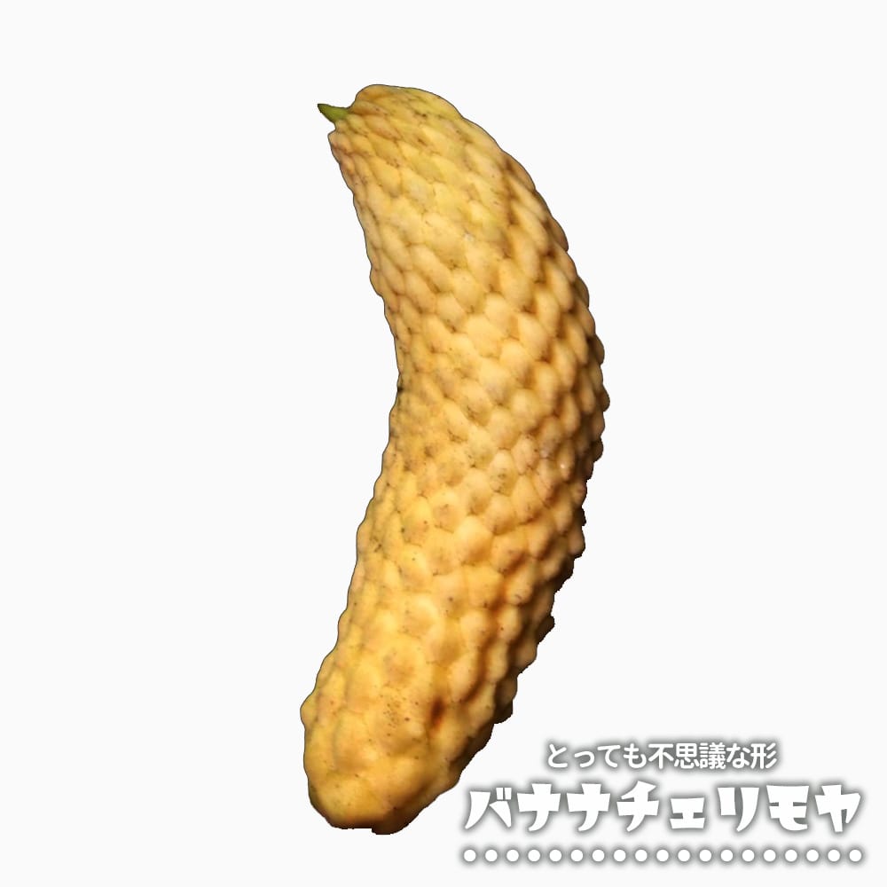 チェリモヤ バナナチェリモヤ 