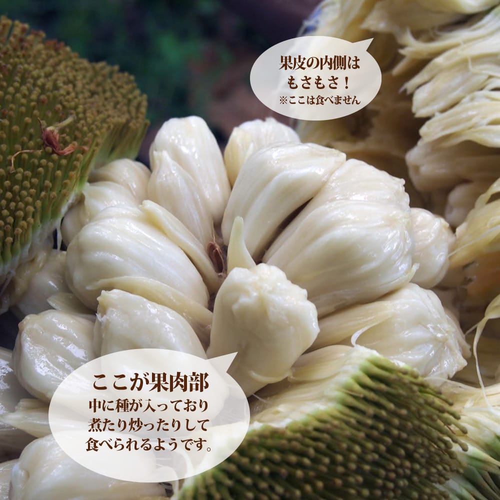 マラン マラン 1