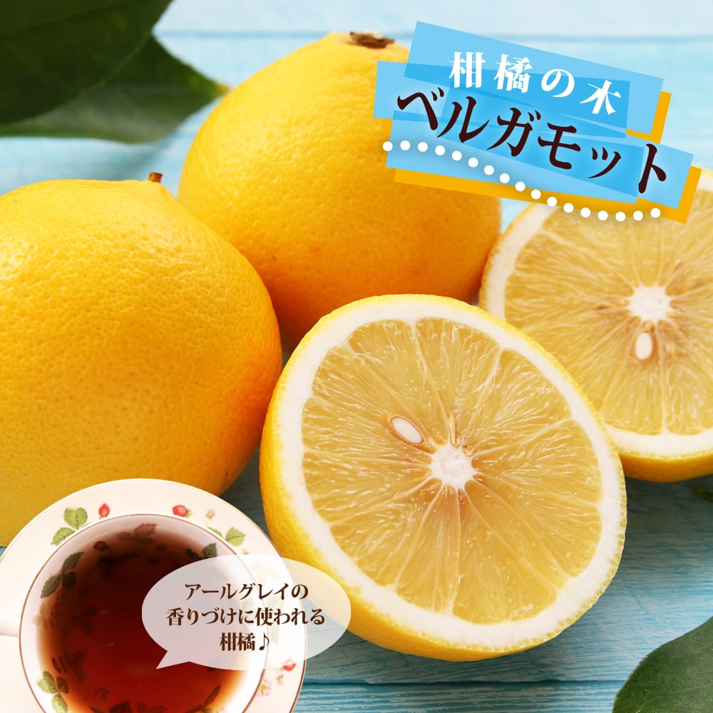 柑橘 オレンジ ベルガモットオレンジ 苗 販売 苗木部 By 花ひろば