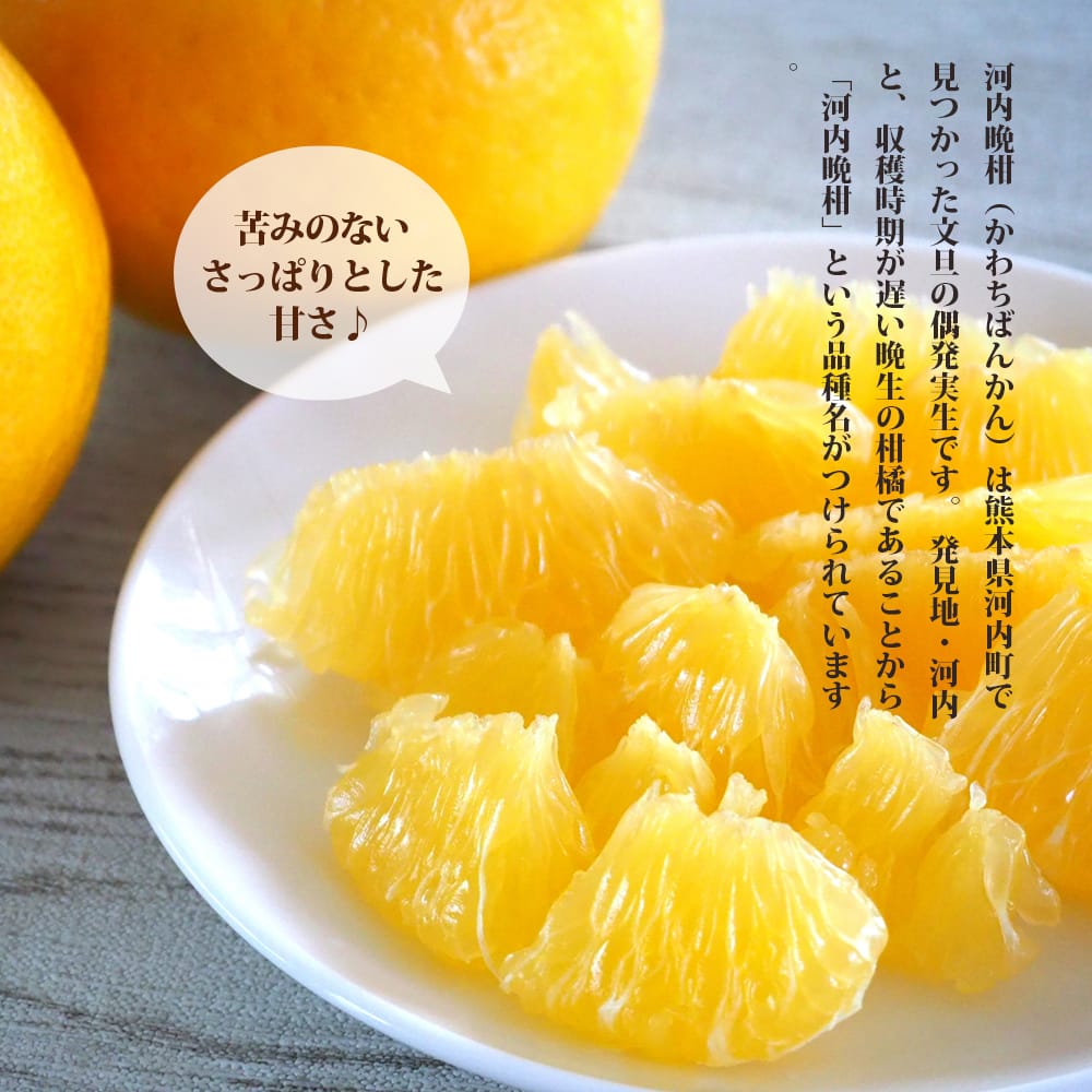 柑橘 河内晩柑 1