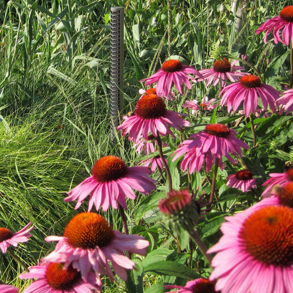   ヴィンテージワイン