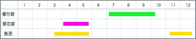 カタクリの栽培暦