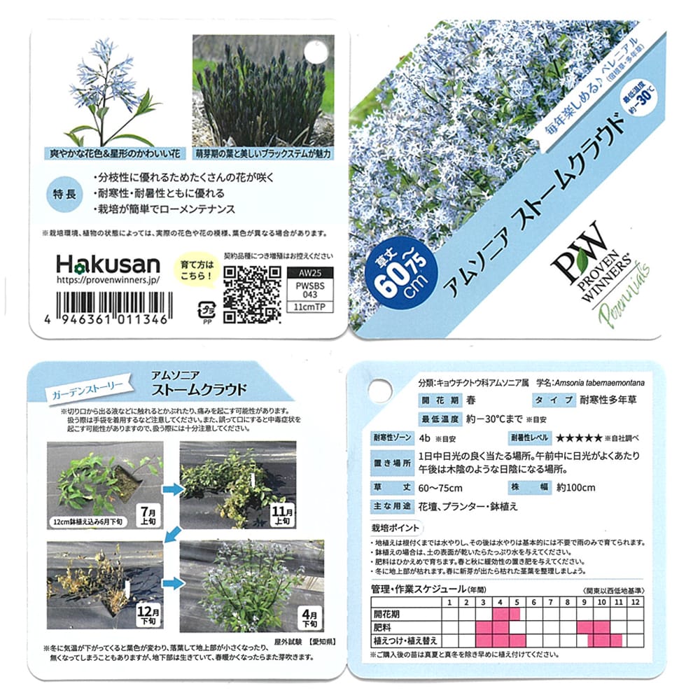 アムソニア ストームクラウド 2