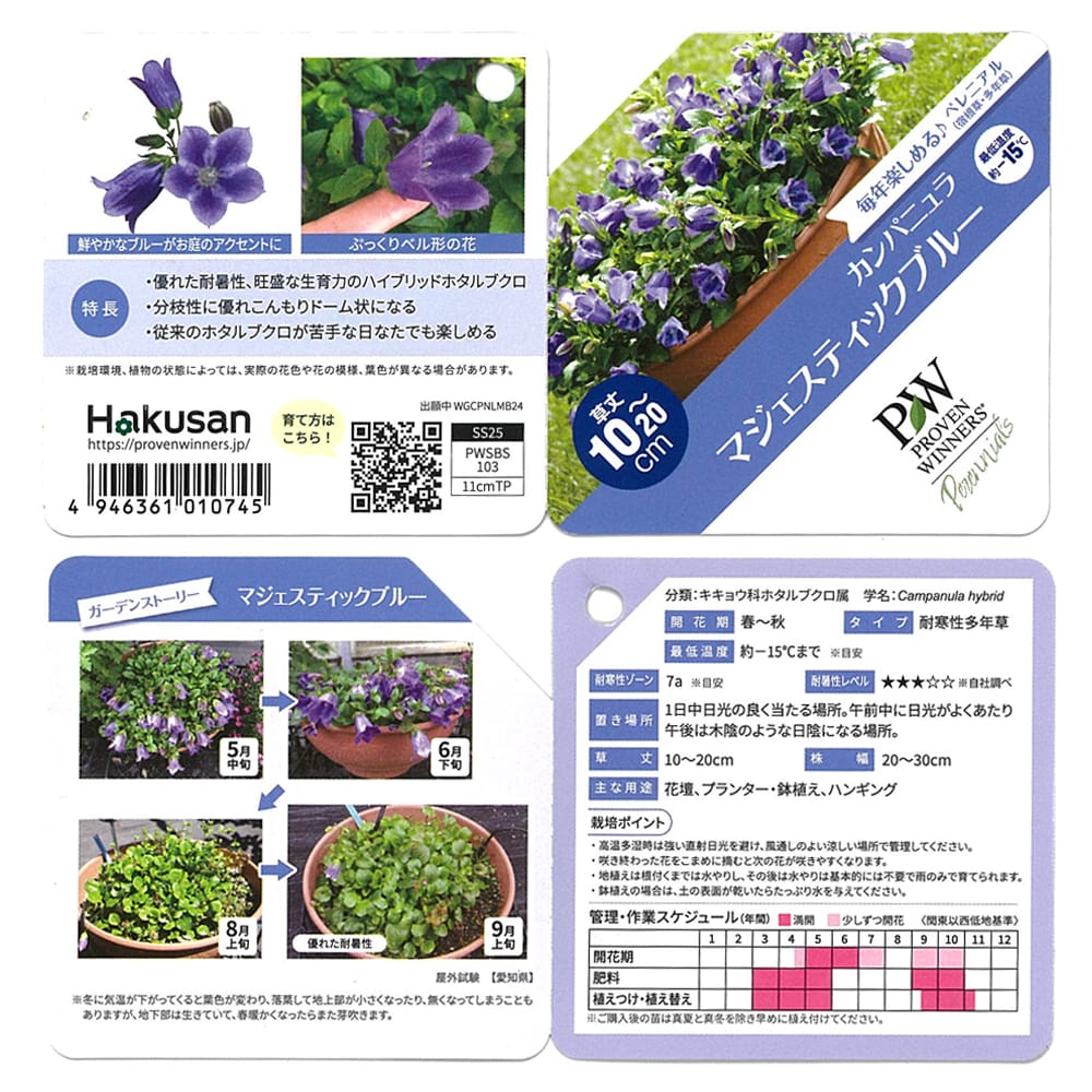 カンパニュラ マジェスティックブルー 1