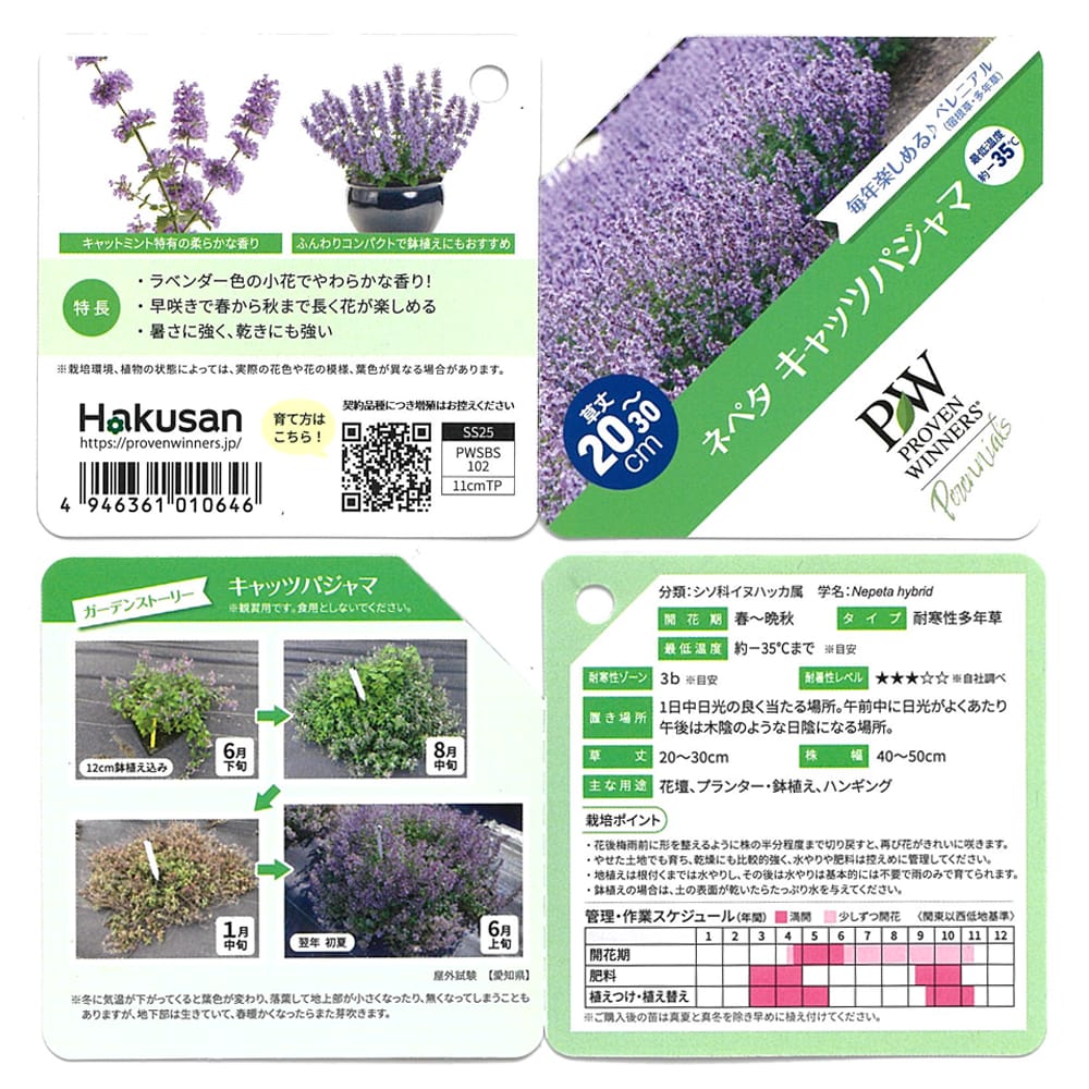 ネペタ キャッツパジャマ 1