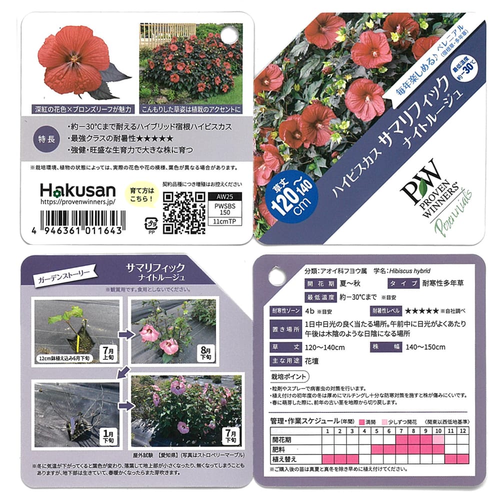 ハイビスカス ナイトルージュ 1