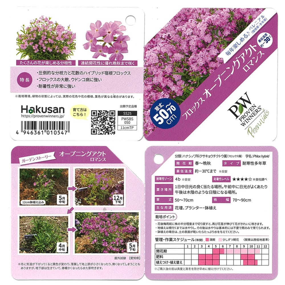 フロックス ロマンス 1