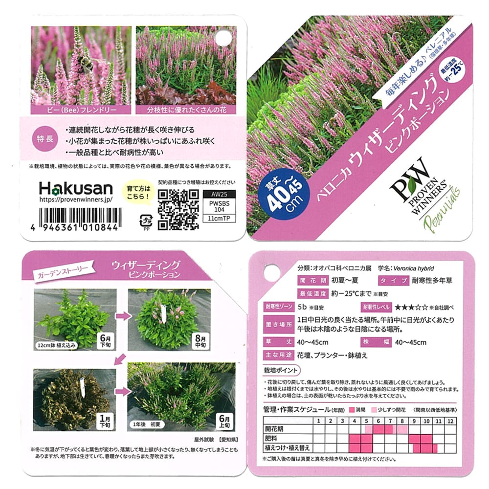 ベロニカ ピンクポーション 1