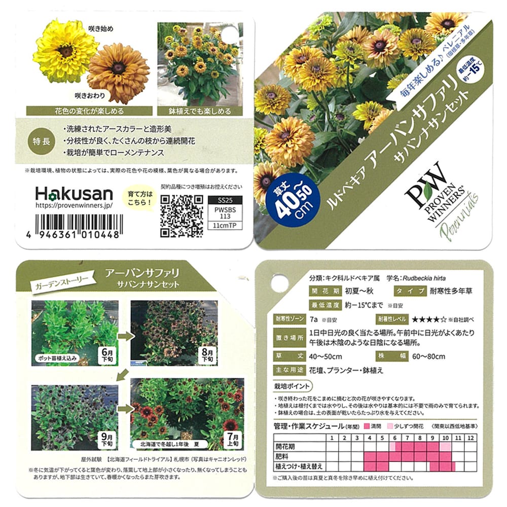 ルドベキア サバンナサンセット 3