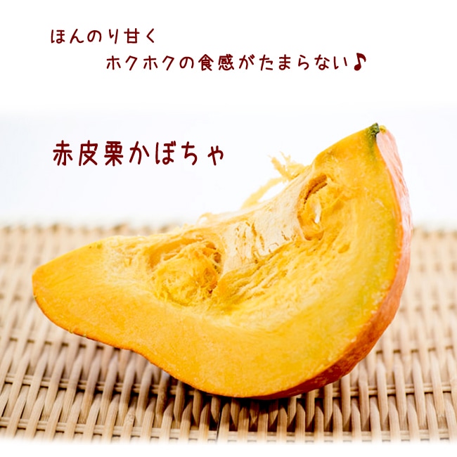 かぼちゃ 赤皮栗 1