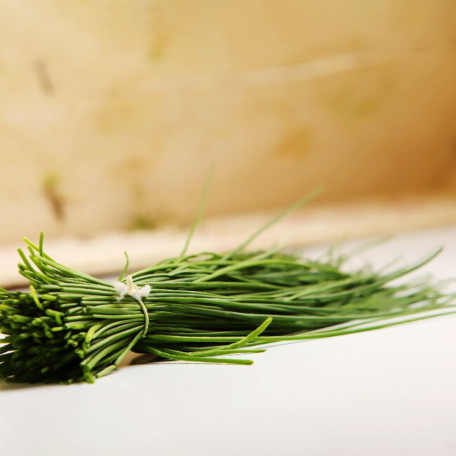 チャイブ（ポリビット）