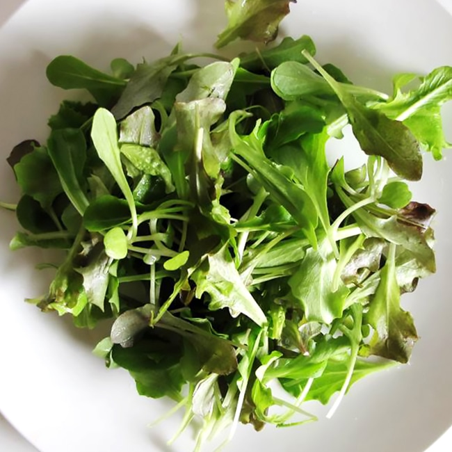 クワトロ4種のレタス ベビーリーフ 1