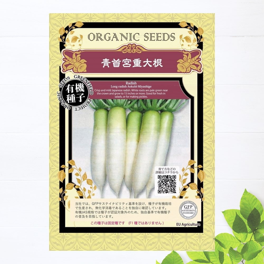 大根 青首宮重大根 苗 販売 苗木部 By 花ひろばオンライン