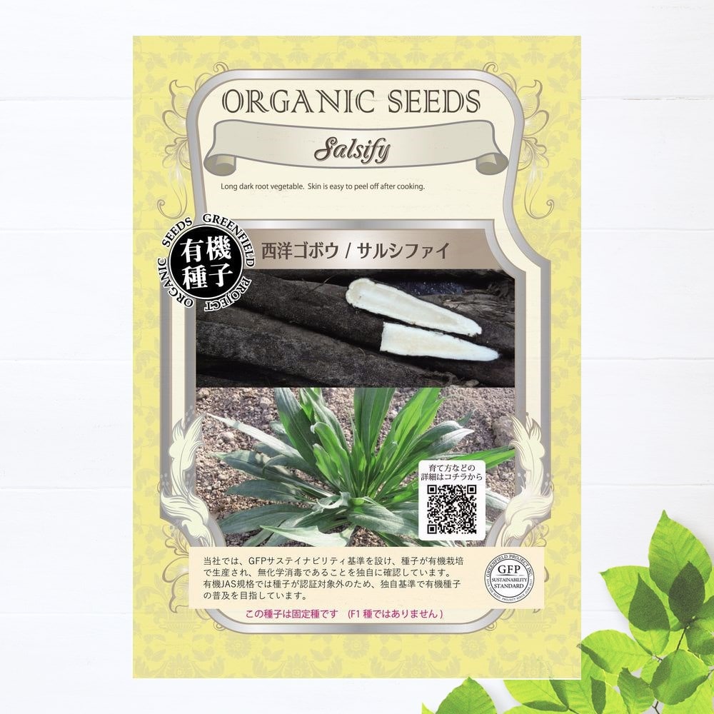 西洋ゴボウ サルシファイ 