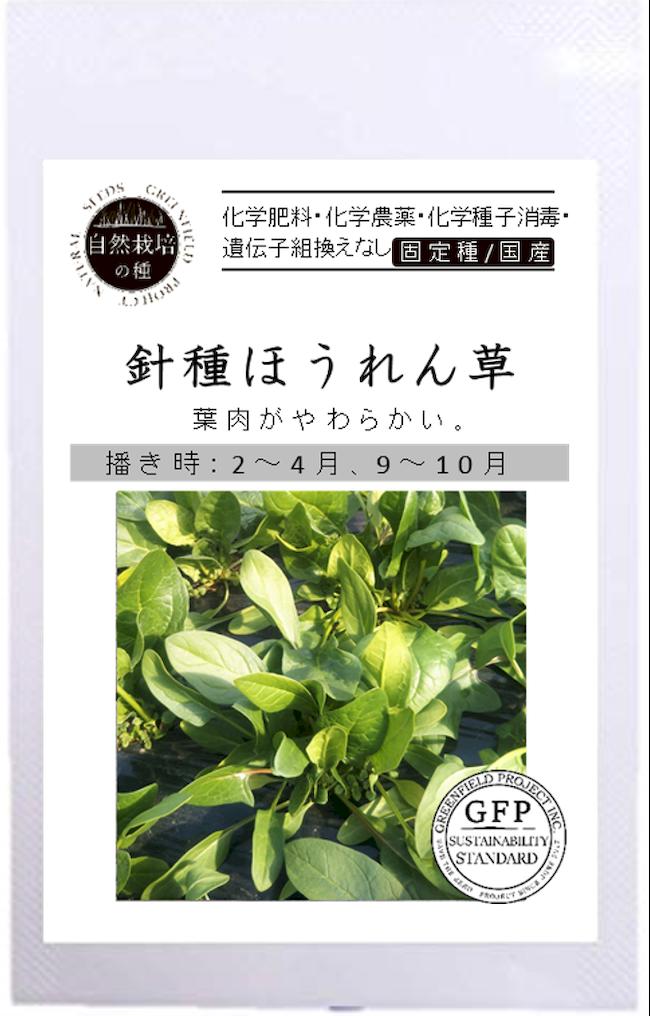 ほうれん草 針種ほうれん草 